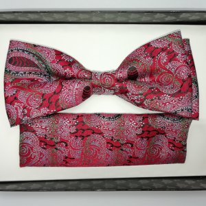 Muszka z poszetka czerwona