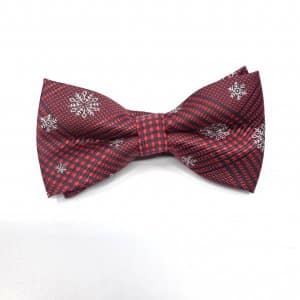 Świąteczna Mucha Gwiazdki