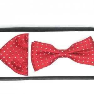 Mucha z Poszetką Czerwona Kropki